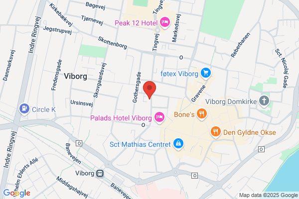 Indre Missions Samfund, Viborg