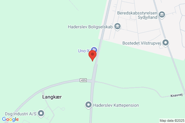 Misbrugsafdeling Syd, Viborg.