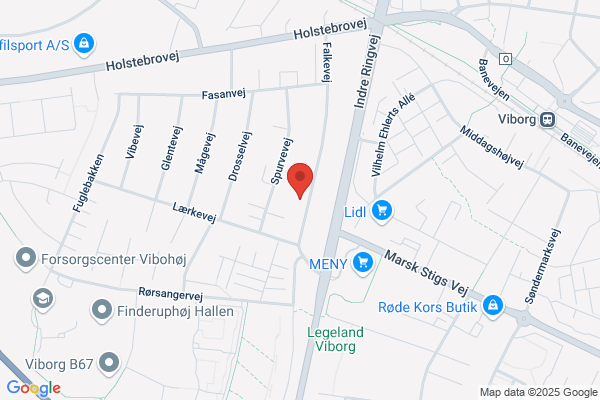 Viborg Helseforening