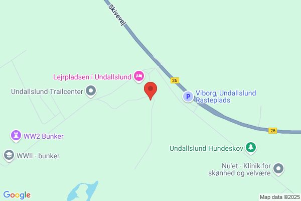 Aidsinformation i Viborg Amt.