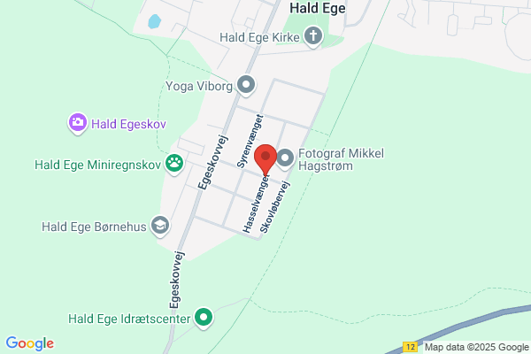 Hald Ege VVS