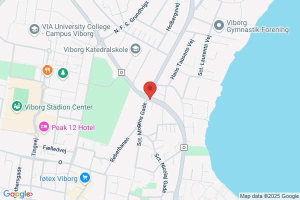 Socialdemokratiet i Viborg Kommune