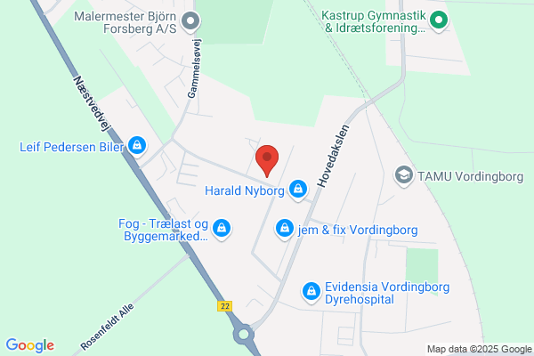 Hansen Kim Skovgaard Murermester