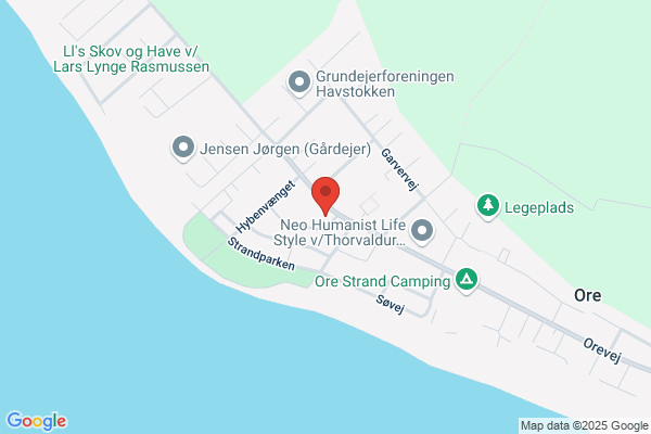 Dagplejen
