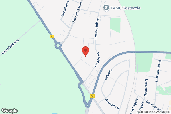 Smedemestrene
