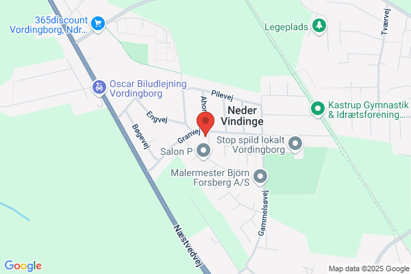 Pedersens Hammondparty, Mogens