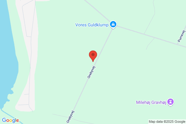 Vinsten, Jette