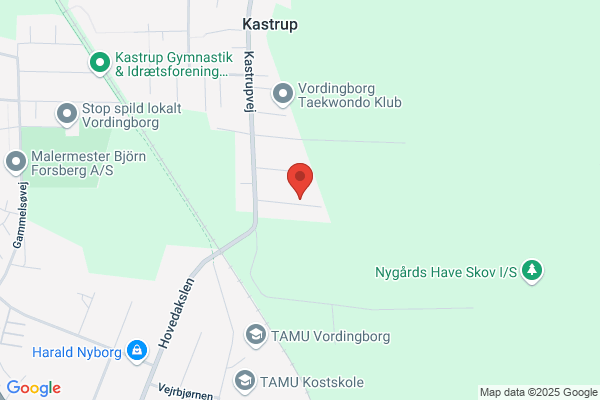 Vordingborg Atletik Club