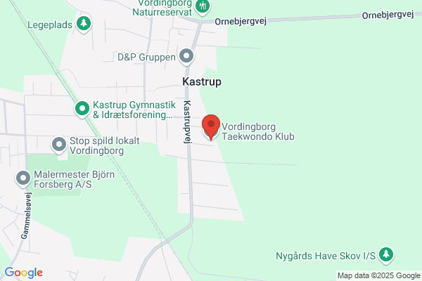 Vordingborg Taekwondo Klub