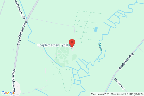 Spejderkorps, Det Polske