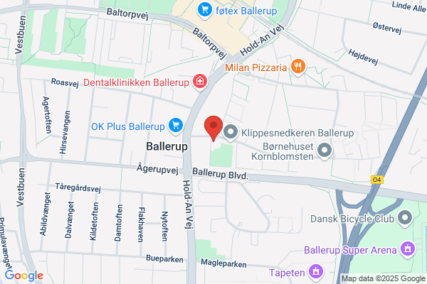 Dagplejen