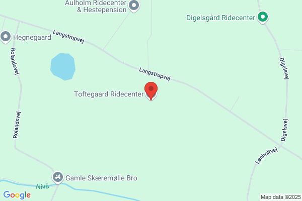 Toftegaardens Hestepension