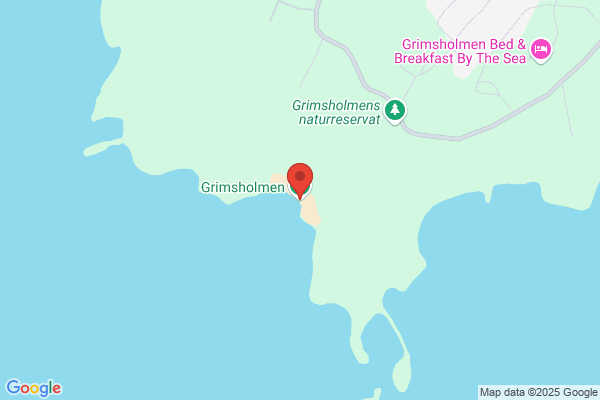 Grønhøj