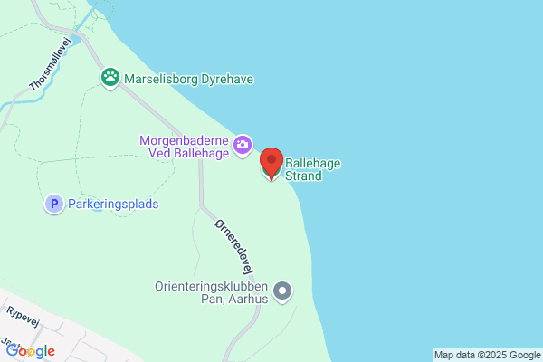 Nældebjerg