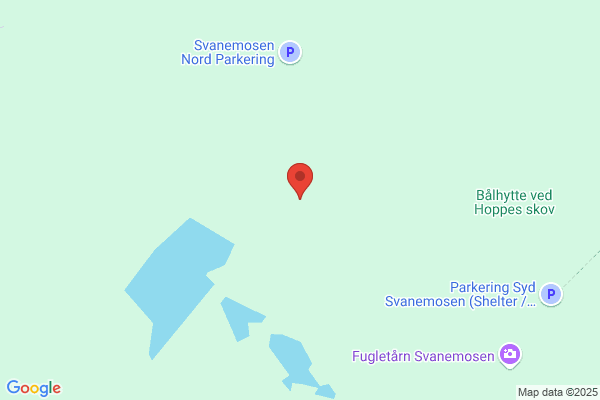 Langberg, Bente