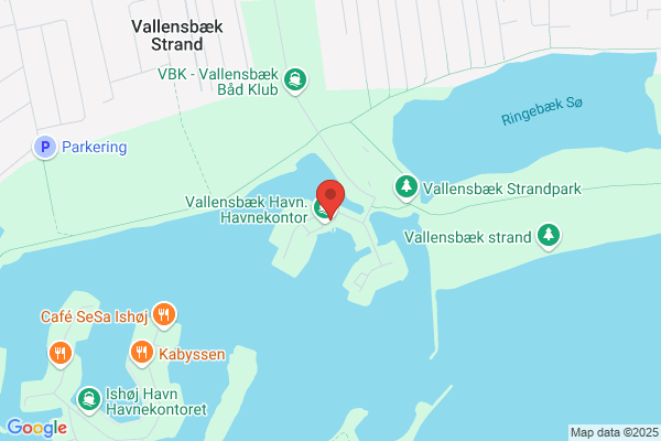 Træf, Salonskytteforeningen