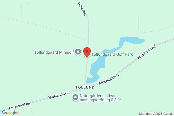 Niels Stryhn Tollundgaard