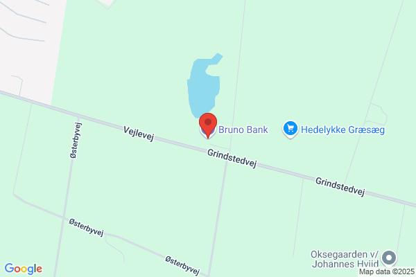 Bank's Oliefyrservice, Bruno