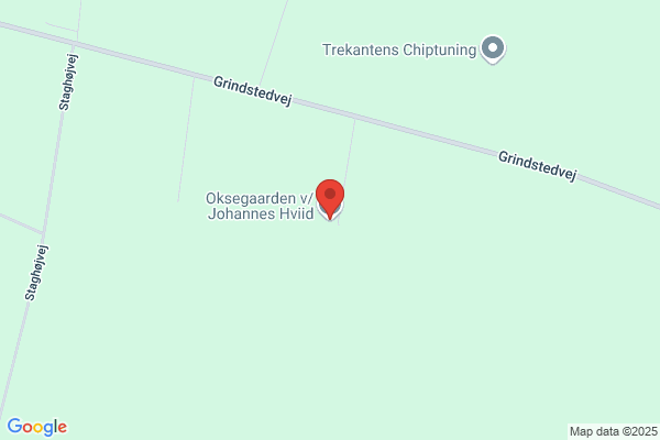 Enevoldsen Johs