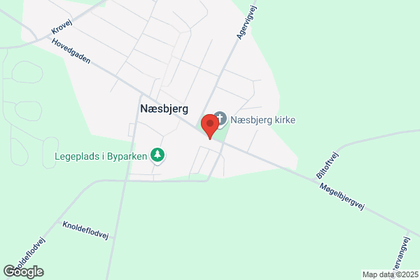 Næsbjerg Husholdningsforening