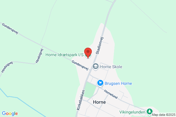 Horne Venstreforening