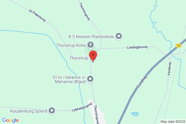 Thorstrup Venstreforening