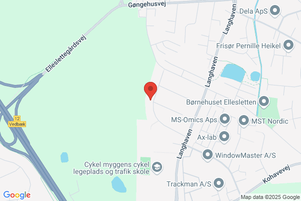 Lobedanz Grafik (Anette Lobedanz Witthøfft)