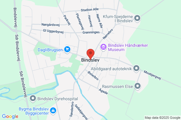 Bindslev Bjørn