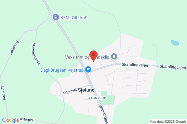 Danconsult