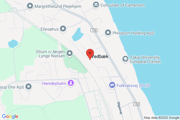 Wegener-Frederiksen Consulting Management Ole