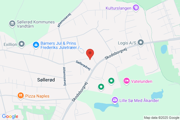 Fogelstrøm Jette
