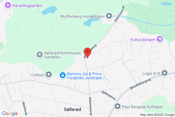 Amatørscenen Søllerødderne (Kari Mikines)