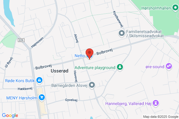 Netto