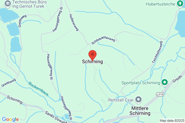 Schierning, Hanne