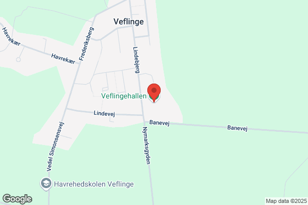Veflinge fællesantenne forening