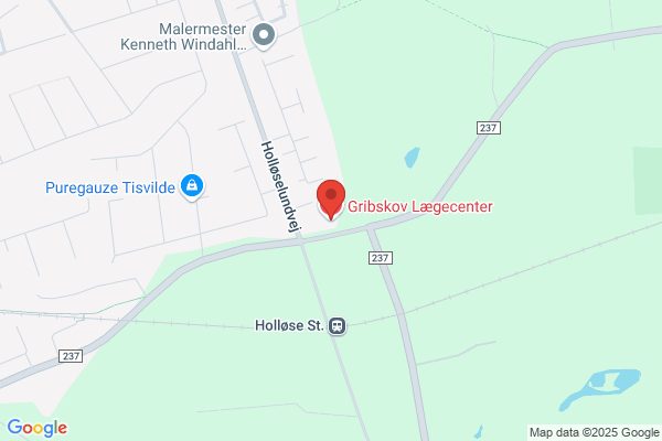 Lægerne i Vejby