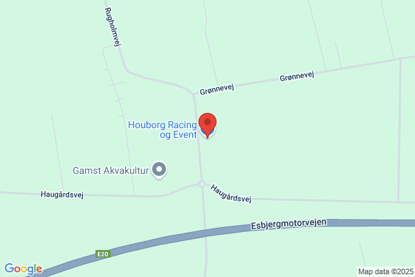 Duborg, Henrik