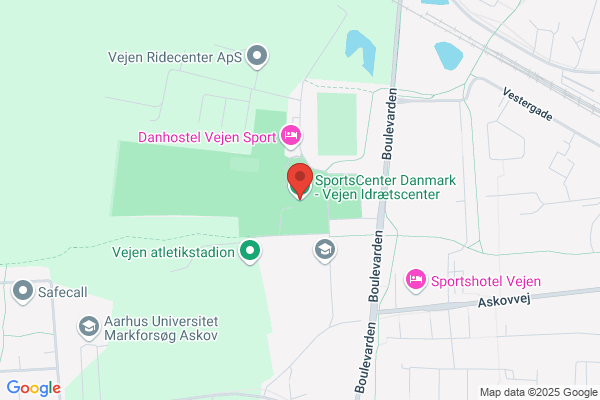 Vejen Initiativråd