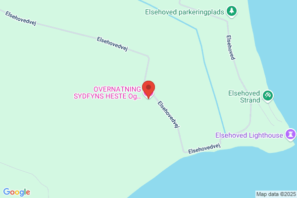 Feriehunden