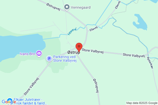Østrup-Striben