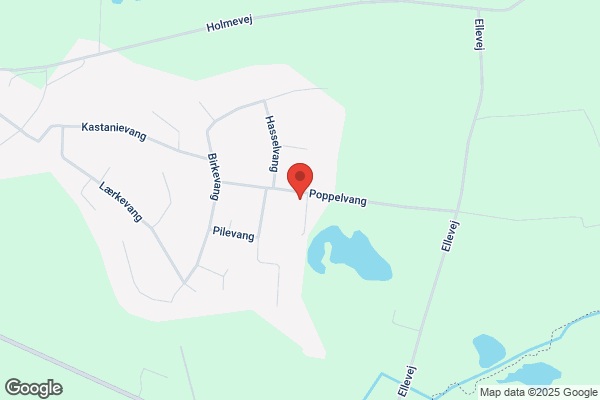 Grundejerforeningen Kastaniehøj