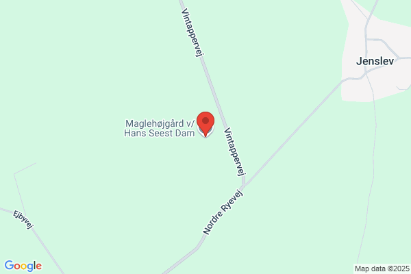 Møgelvang Harry