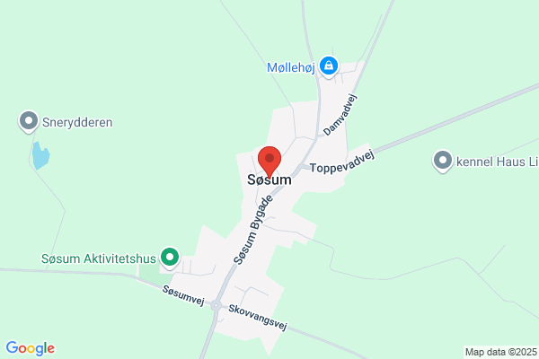 Søsum