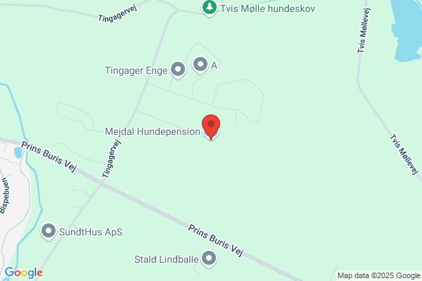 Holstebro hundepension