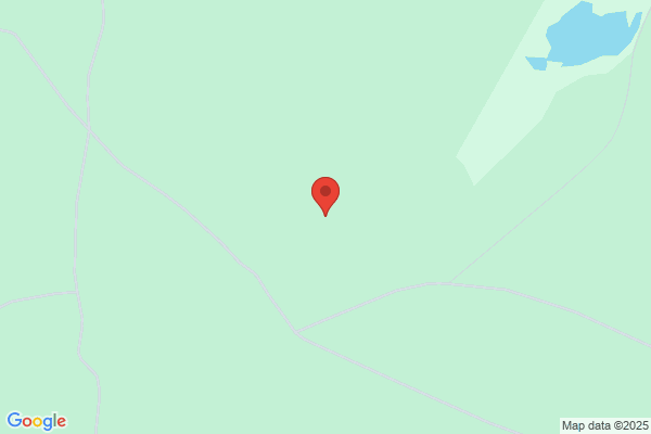 Østerild Klitplantage, Thy Statsskovdistrikt
