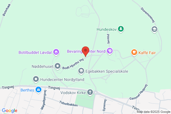 Amtsspecialet, Børn - Fællesfunktioner