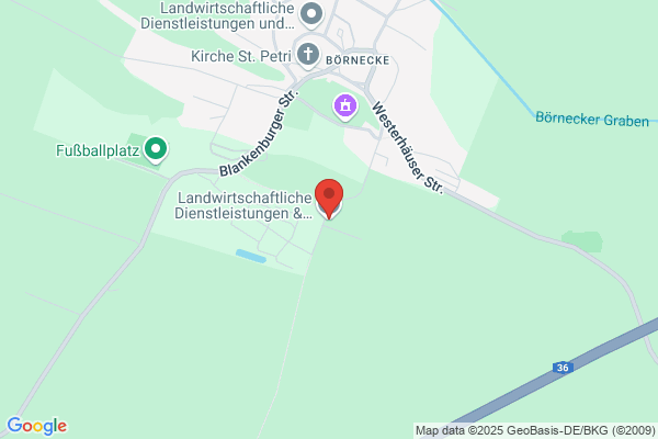 Anderberg, Tove