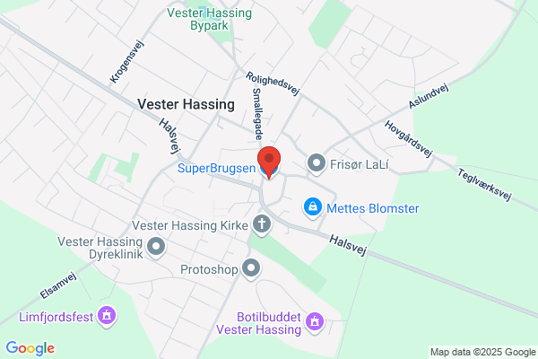 Dagli' Brugsen V. Hassing