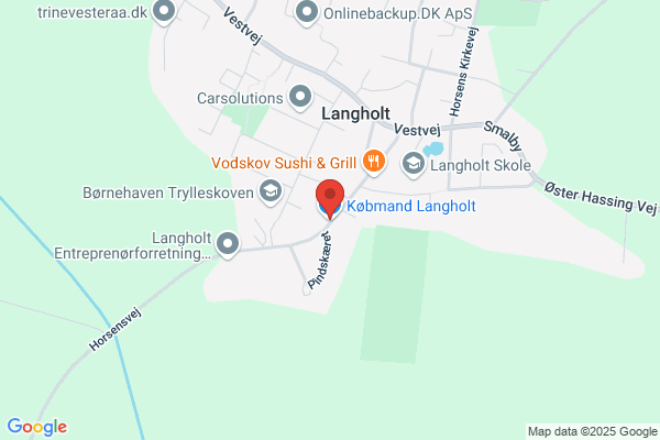 Håndkøbsudsalget i Langholt