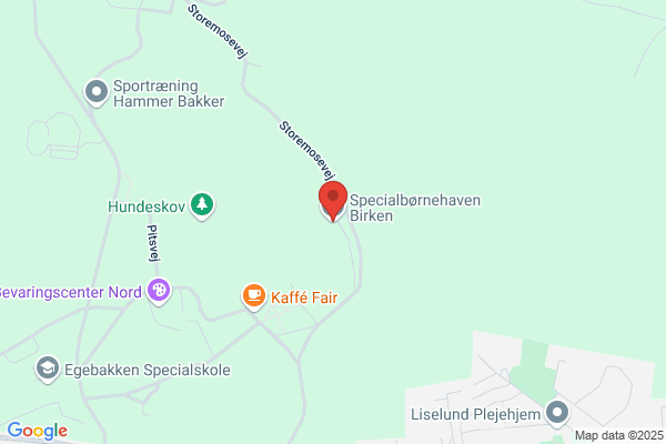 Institutionen for Autisme - Specialbørnehaven Birken